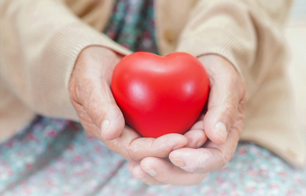 Hands holding a heart